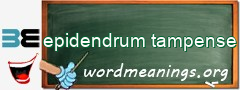 WordMeaning blackboard for epidendrum tampense